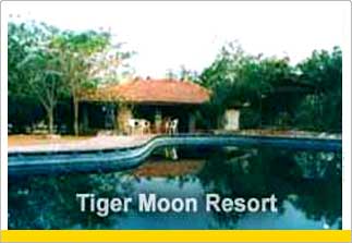 Holiday in Tiger Moon Resort